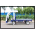 2 Seater Electric Loading Truck with Ce